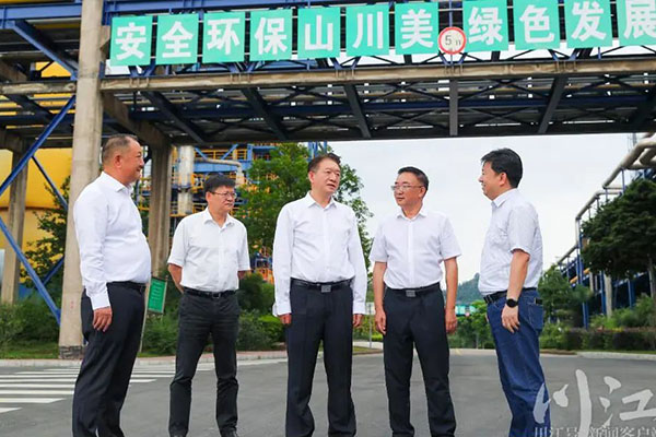杨林兴：把新型工业化摆在更加突出的位置，让“四化同步”发展的主引擎作用更加凸显